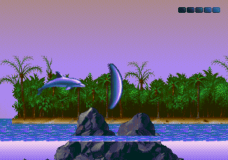 Ecco the Dolphin II